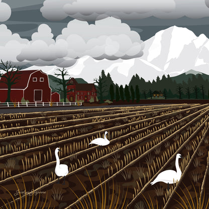 Art Print - Bellingham Mud Swans